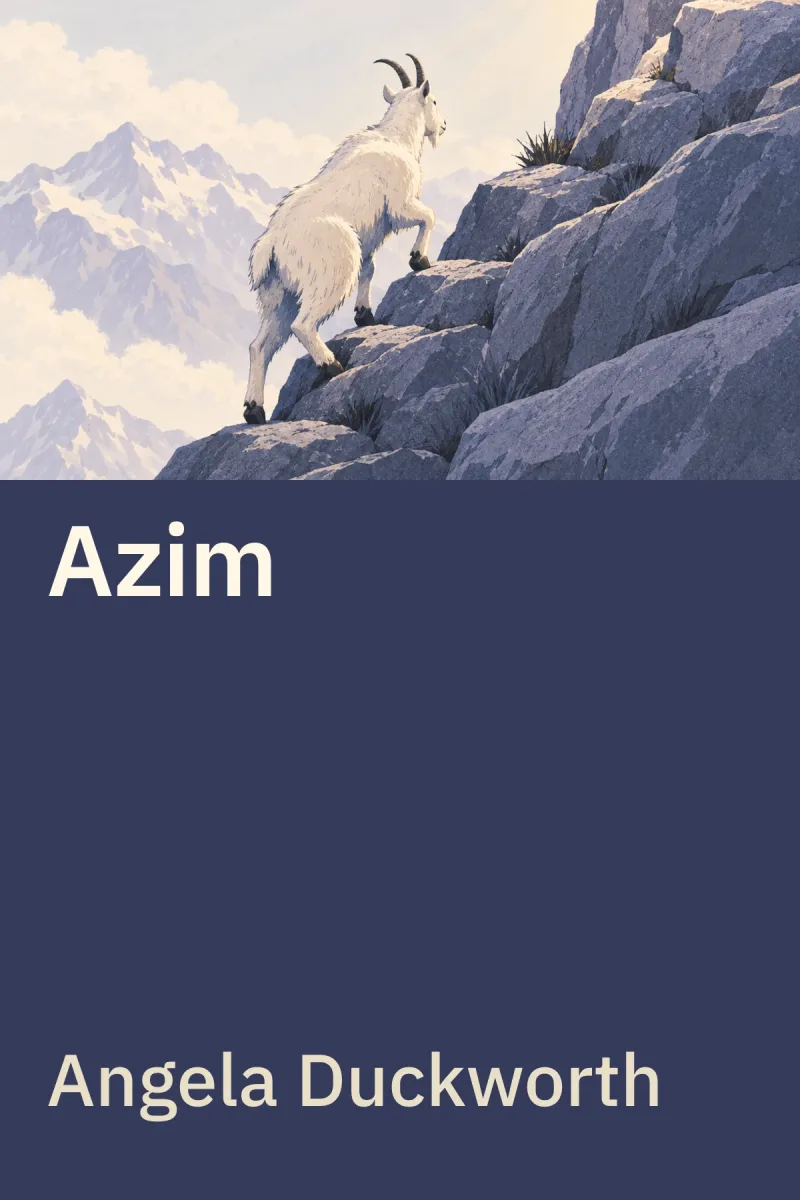 Azim — Angela Duckworth özgün kitap illüstrasyonu