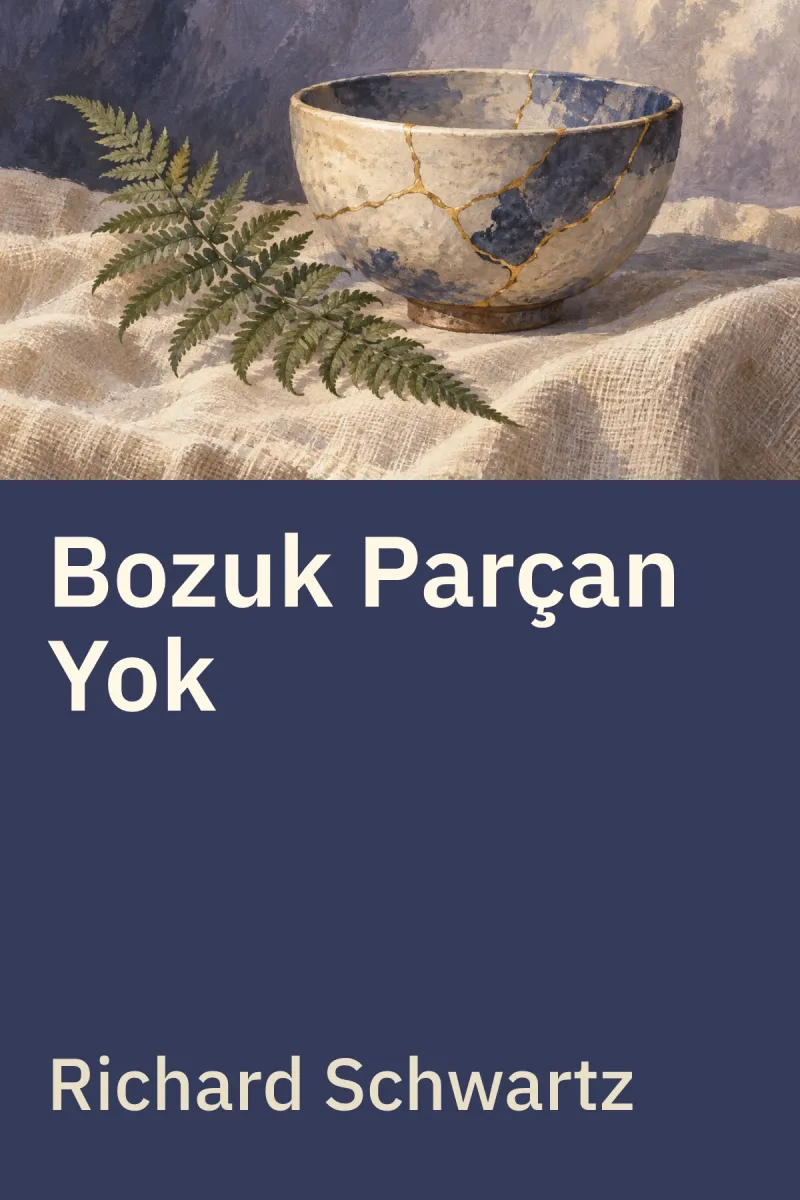 Bozuk Parçan Yok — Richard C. Schwartz özgün kitap illüstrasyonu