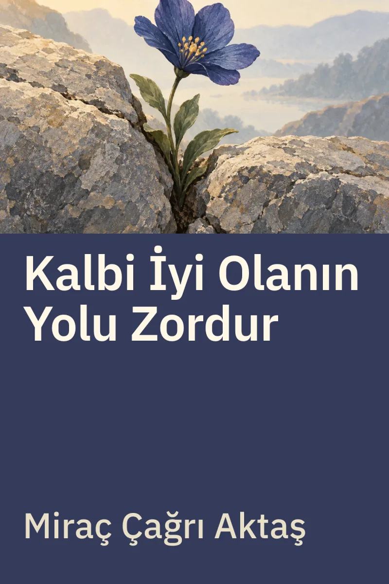 Kalbi İyi Olanın Yolu Zordur — Miraç Çağrı Aktaş özgün kitap illüstrasyonu