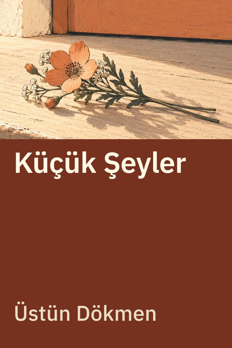 Küçük Şeyler — Üstün Dökmen özgün kitap illüstrasyonu